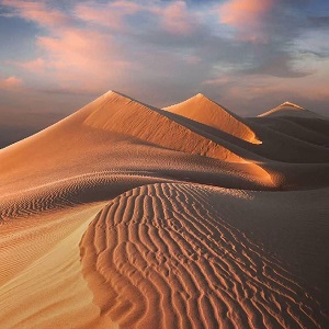 <span> Day 2  Mesr Desert  </span>