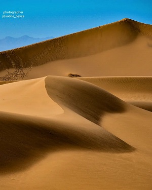 <span>Day 9 Meser Desert</span>