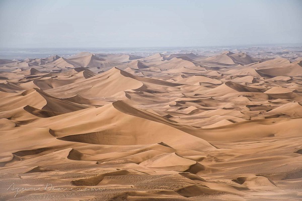 Adventure In Lut Desert For 9 Days